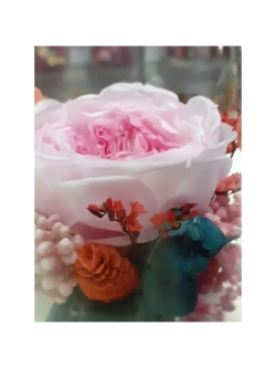 натуральный пион в стекле, вакуум*