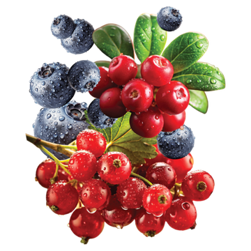 HIT - Russian Folk (ЧЕРНИКА, СМОРОДИНА, БРУСНИКА) (30г)