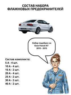 Набор предохранителей для Volkswagen Passat B7 PAS7