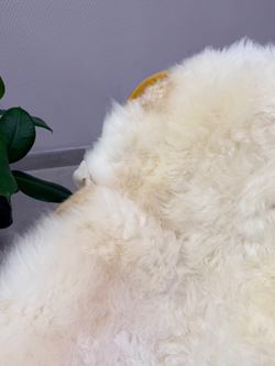 Шкура коврик меховой прикроватный овчина, 120х65 см.