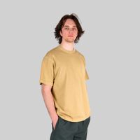  Футболка мужская Carhartt WIP Taos артикул:I032847_sable - купить в магазине Дайс