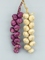 Чеснок деревенский