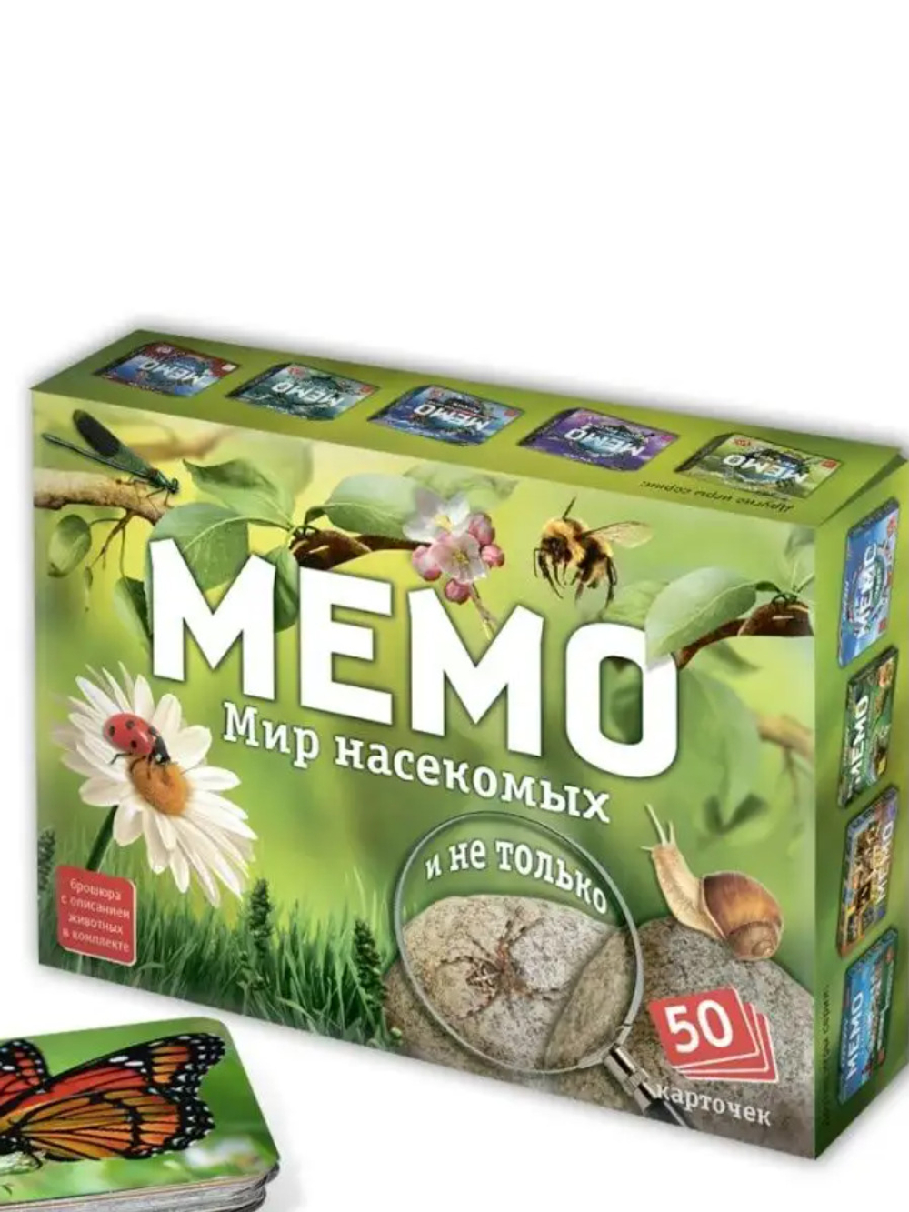 Мемо: Мир насекомых и не только