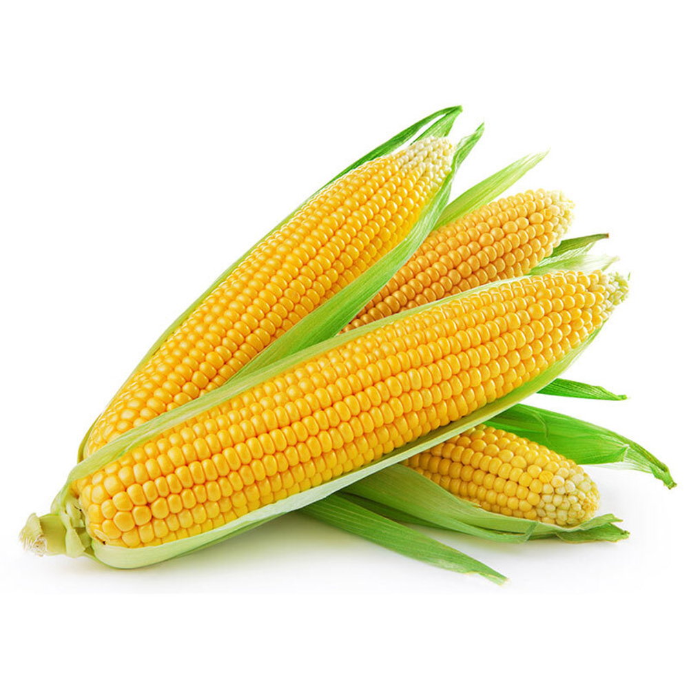 384045