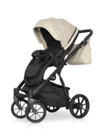 Коляска 3 в 1 Riko Basic Montana