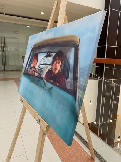 Картина на холсте Гарри Поттер на автомобиле