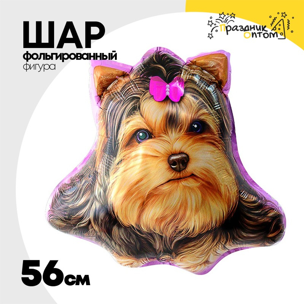 Шар Фольгированный Собака Йоркширский терьер (Коричневый)