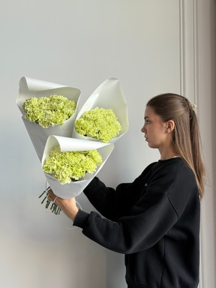 Охапка диантусов в зеленом оттенке 10 шт