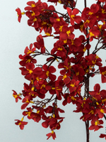 Ветка цветущая яблоня бордовая