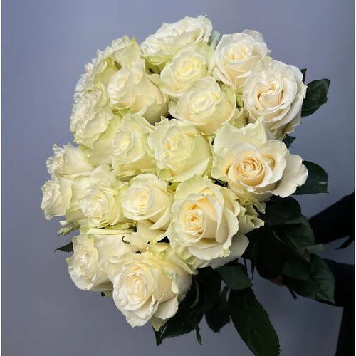 Роза Мондиаль Эквадор 60 см. Цветы поштучно 006 Chalet Green