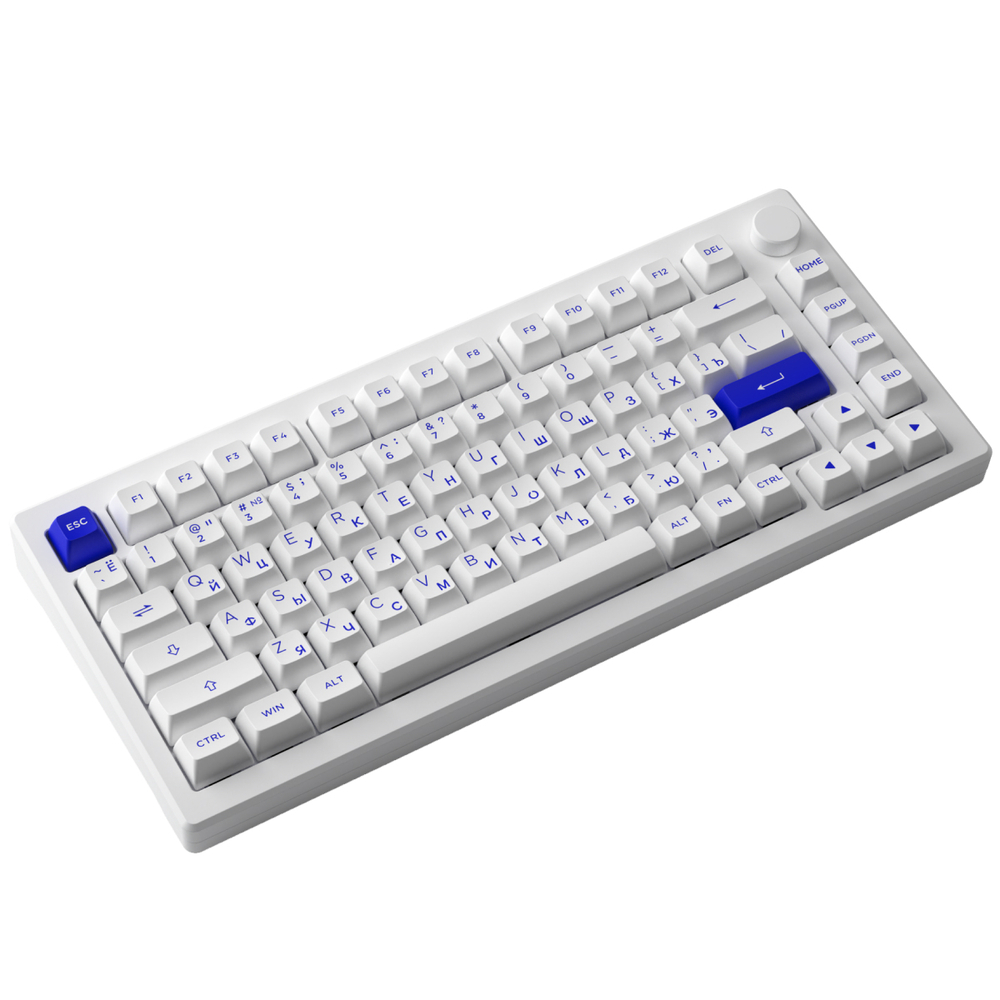 AKKO MOD007B PC Blue&White 3 Modes RGB Hot Swap  Akko V3 Piano Pro Switch,ASA profile keycap