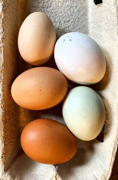 Яйцо куриное 10 шт