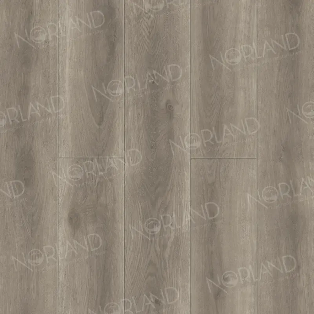 SPS ламинат Norland Neowood Templet 2001-6