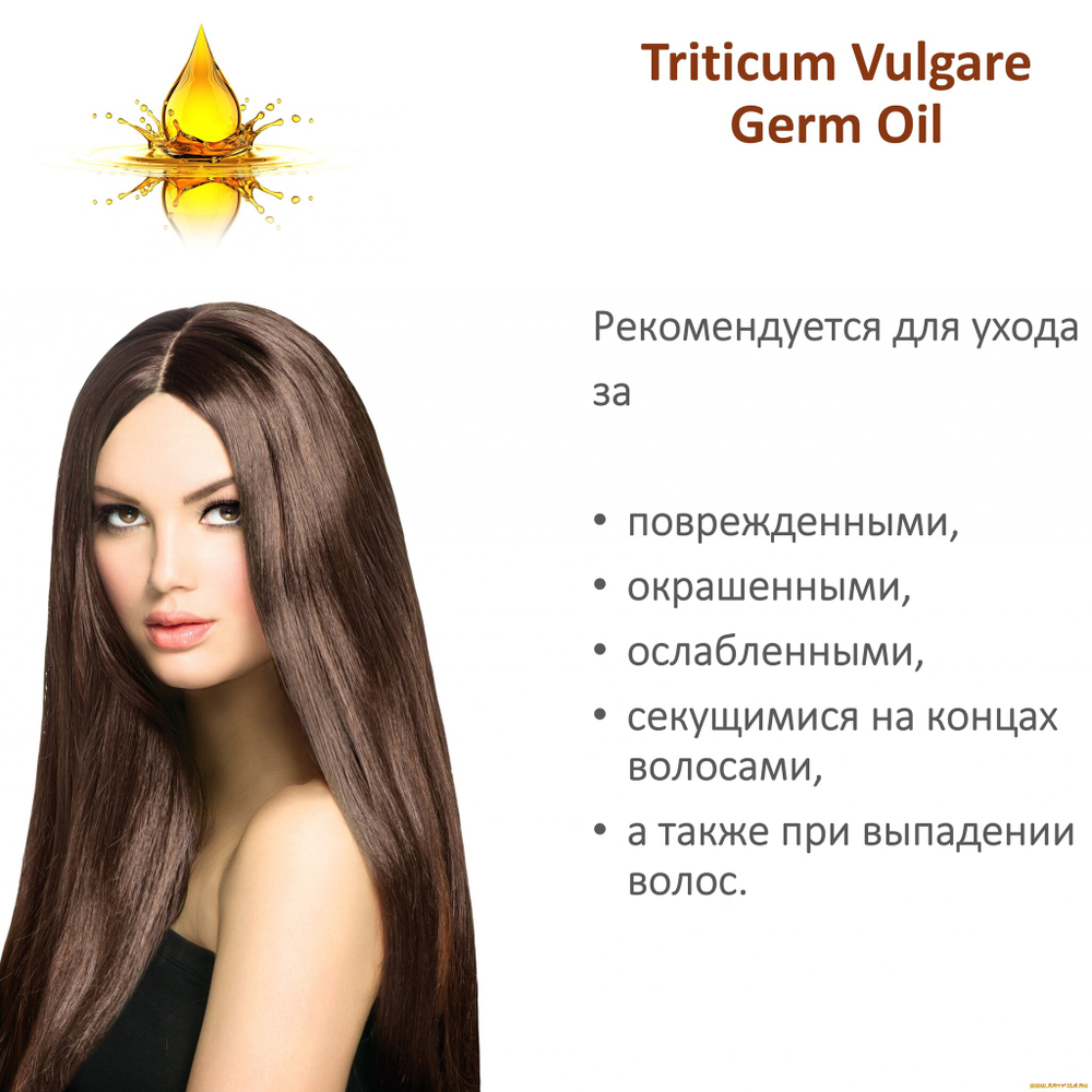 Масло зародышей пшеницы / Triticum Vulgare Germ Oil