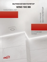 Вентилятор накладной WIND D100 двигатель BB ERA