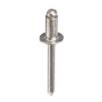 Заклепки комбинированные 4,8х12