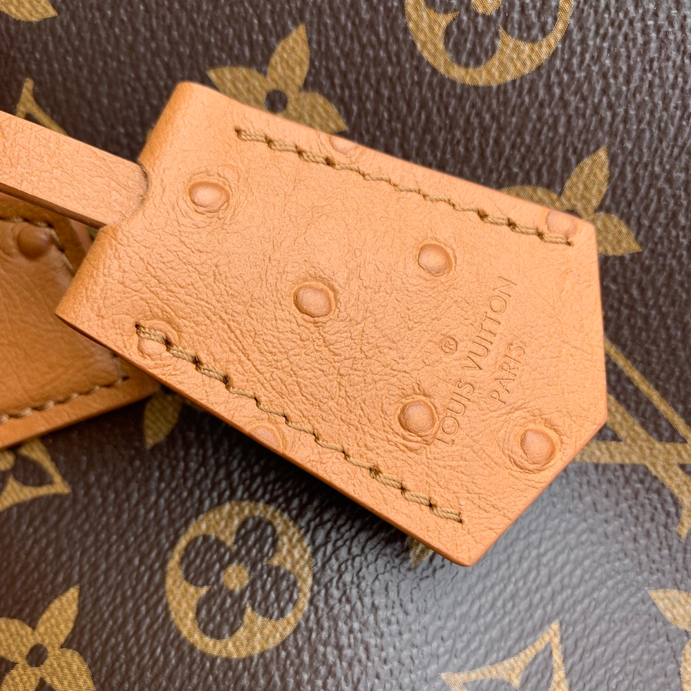 Louis Vuitton Speedy Soft 30 Boho