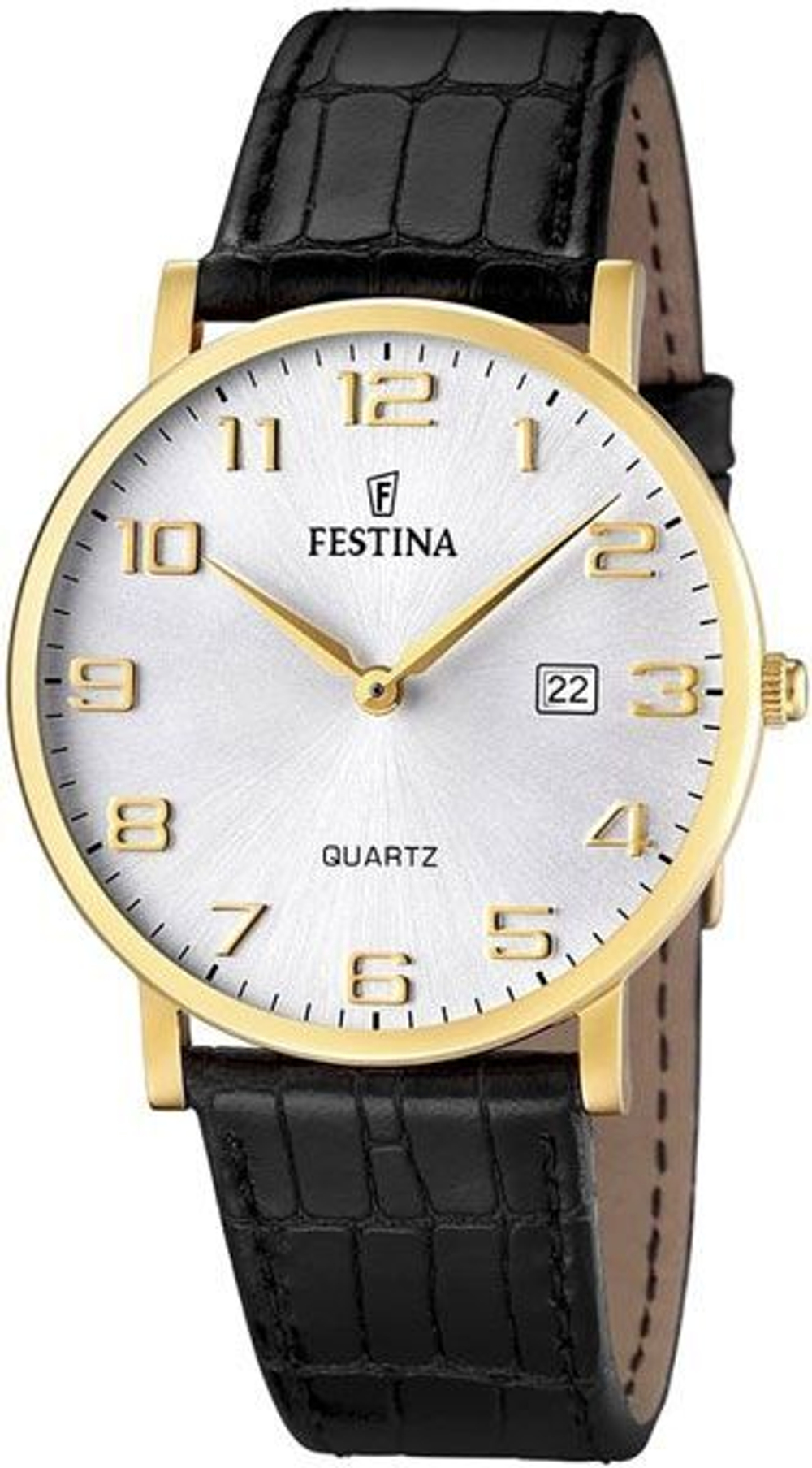 Мужские наручные часы Festina F16478/2