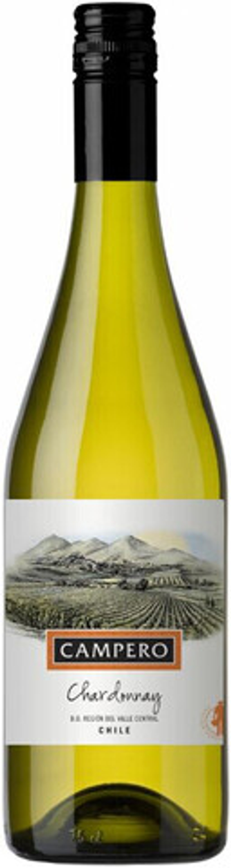 Вино Камперо Шардоне