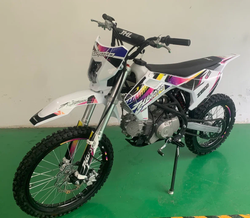 Питбайк JHL Z150E (YX1P60FMJ)