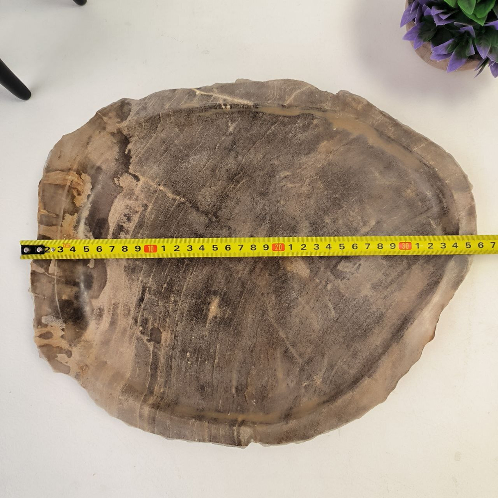 Набор из окаменелого дерева 4 предм Fossil Set NF-62862 поднос 30см*36см