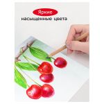 Карандаши цветные Гамма "Мультики", 12цв., супермягкие, увелич. диаметр грифеля 4,0мм, заточен., картон. упак., европодвес