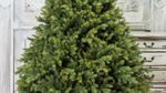 Ель искусственная «Эрмитажная» (Литая хвоя) от 1,5 м до 3 м