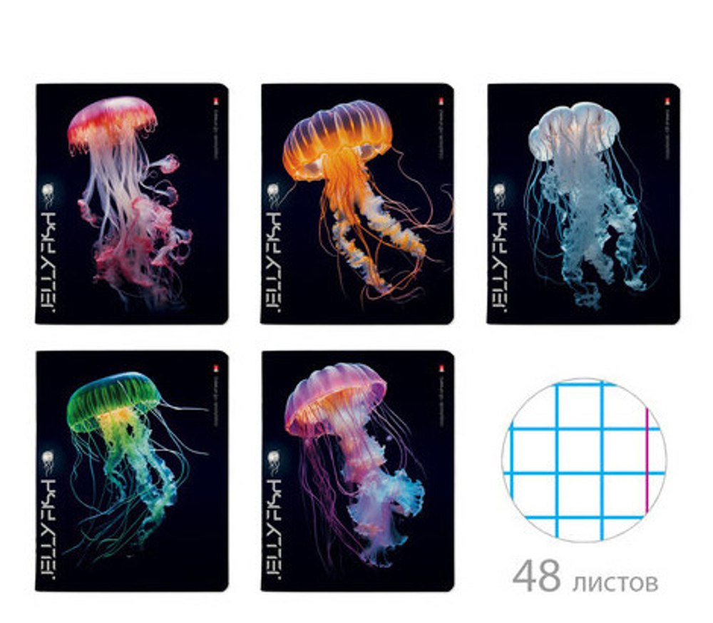 Тетрадь 48 л. БРУНО ВИСКОНТИ Медузы фентези (7-48-1331)