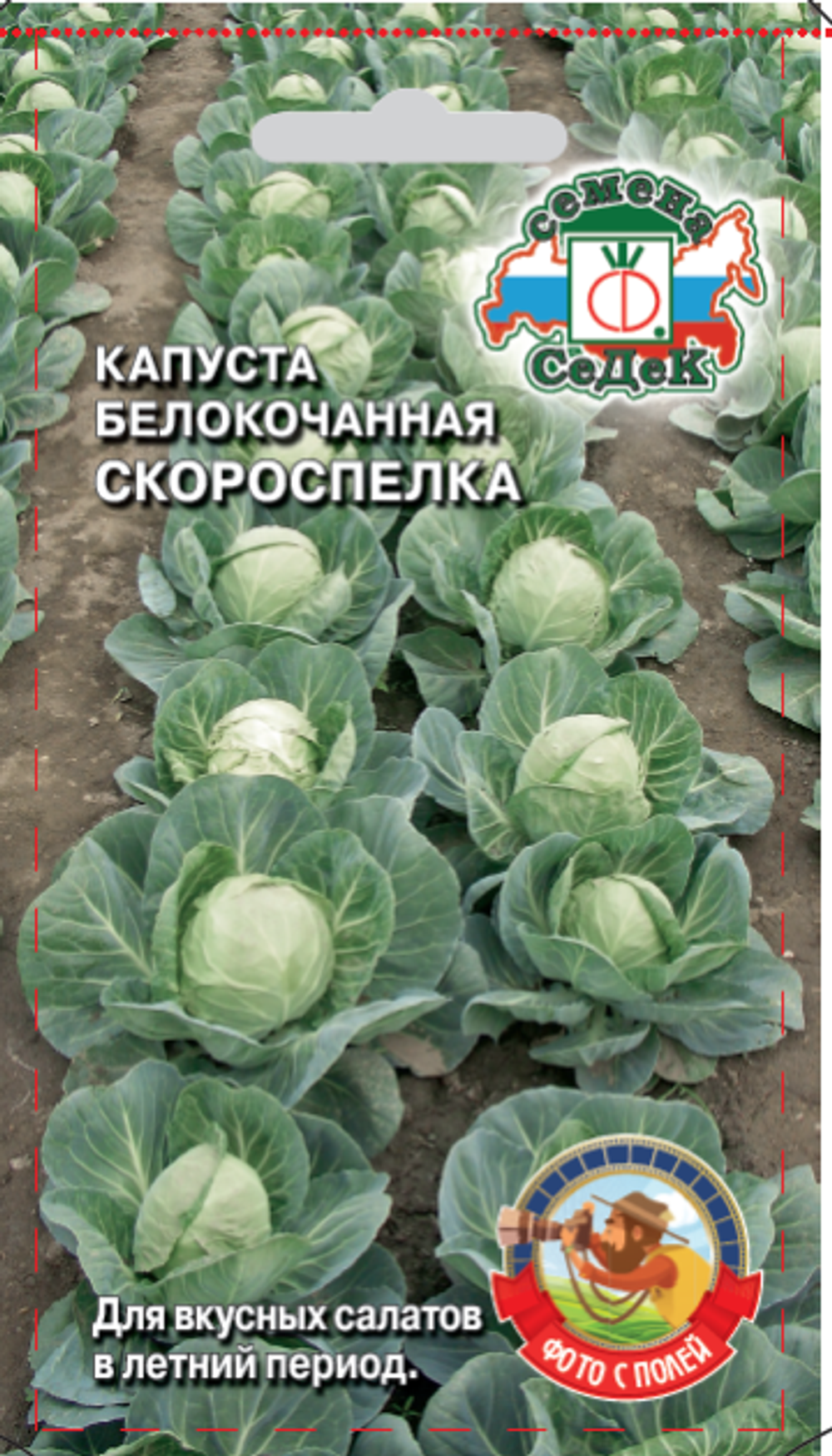 Капуста б/к Скороспелка Седек