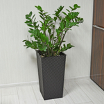 Кашпо напольное "Ротанг" 28,5*27*51,5см со вставкой (мокко)