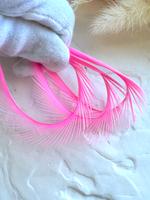 Гусиное перо, Розовый (5 шт)