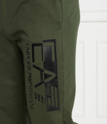 Спортивные штаны EA7 - зеленый(6RPP73 PJ05Z)