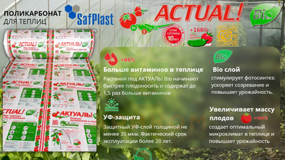 Поликарбонат Actual BIO (Казань) 6ММ 1,1 КГ/КВ.М.