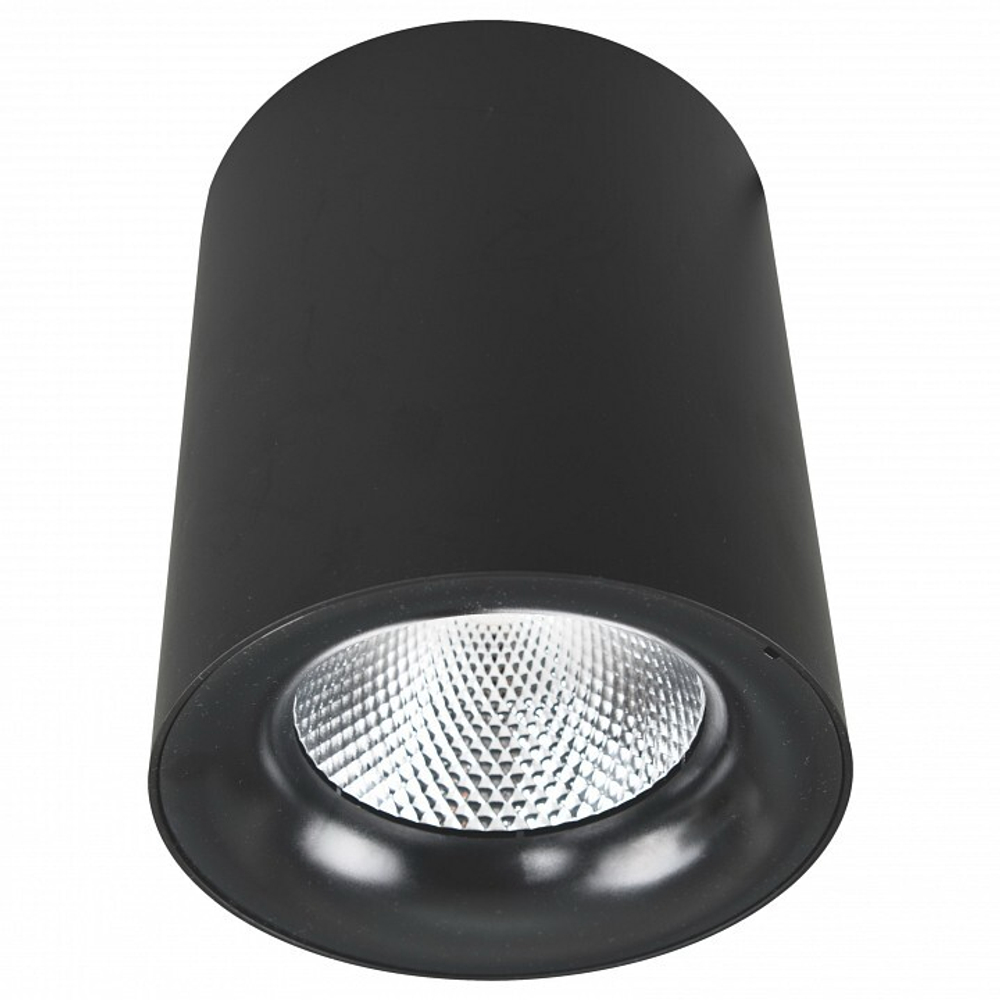 Накладной светильник Arte Lamp A5130PL-1BK