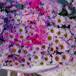 141. Стойкий необычный букет из двуцветной сантини