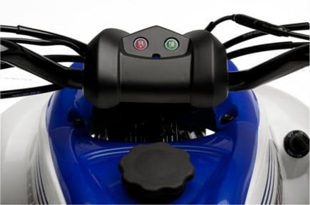 Квадроцикл YAMAHA YFM90R (Raptor 90)