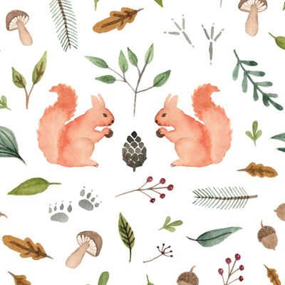 Белочки в лесу