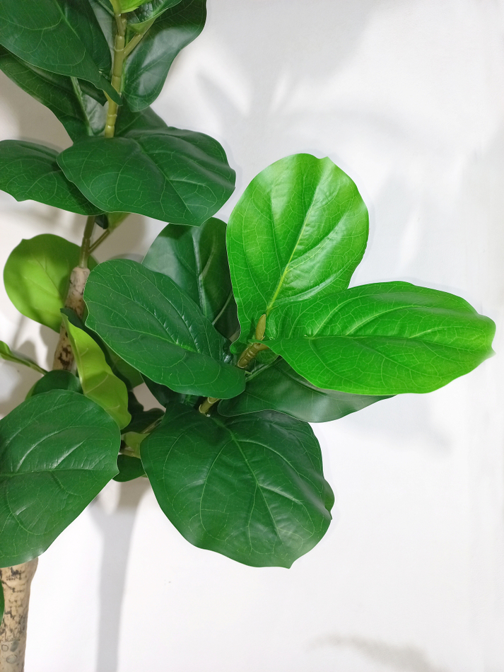 Искусственное растение разборное Фикус Лирата 180см в кашпо