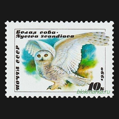 СССР 1990 г № 6183 Совы Белая сова Чистая MNH **