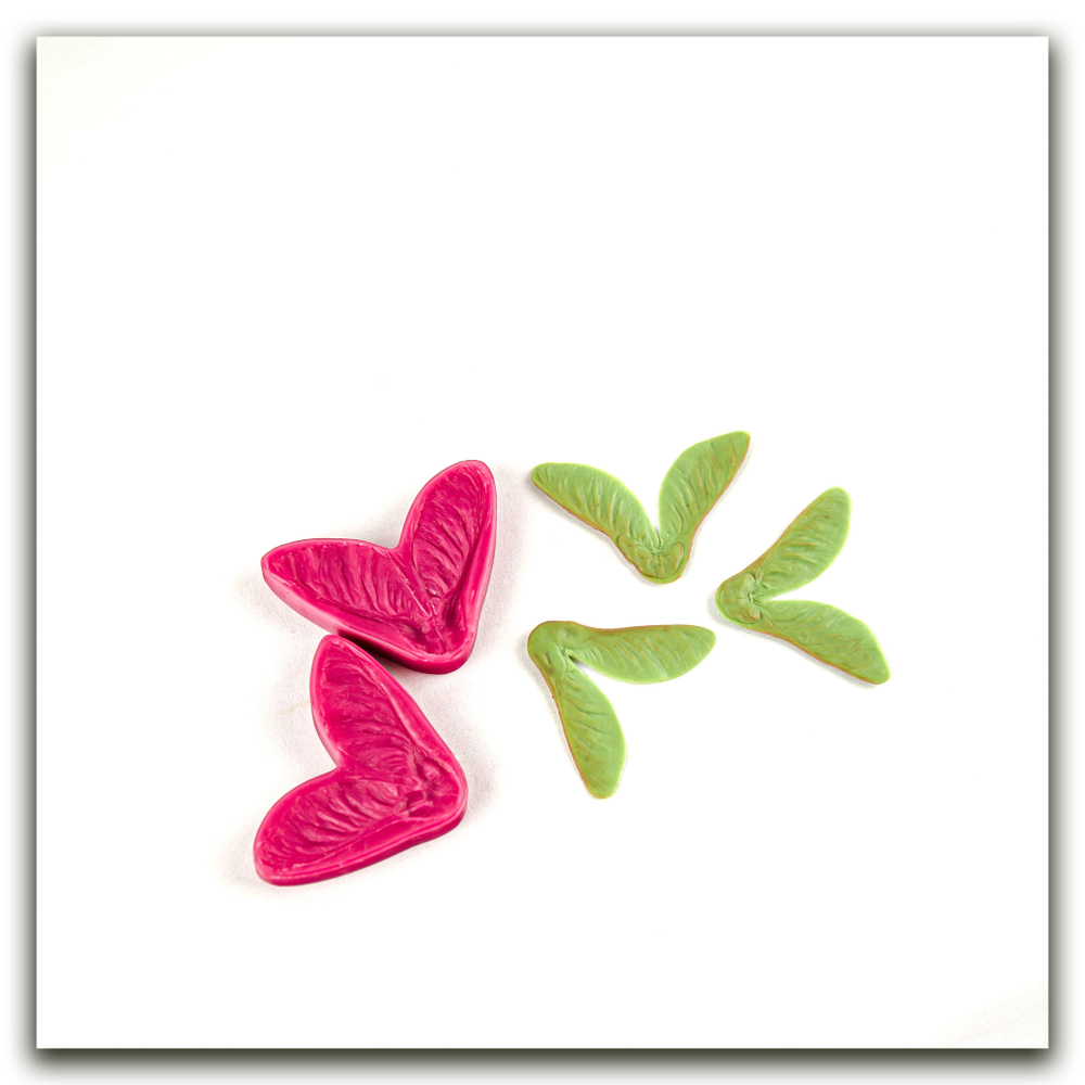 Крылатка клёна