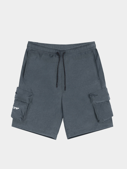 Шорты MLTV BaseCargo Nylon Grey