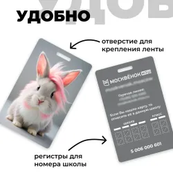 Карта Москвёнок BUNNY №8 (проход + питание)