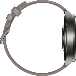 Умные часы Huawei Watch GT 2 Pro Vidar-B19V Gray