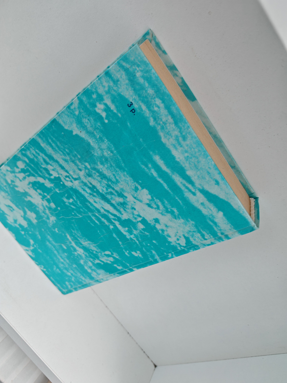 Одиссея Капитана Блада. Хроника капитана Блада