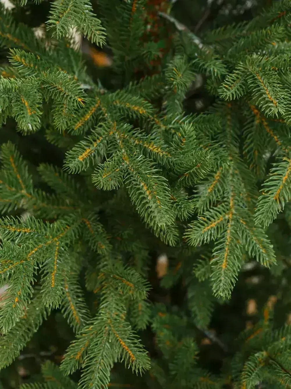 Ель искусственная «НОРДМАН» (Литая) 150 см / 1.5 м