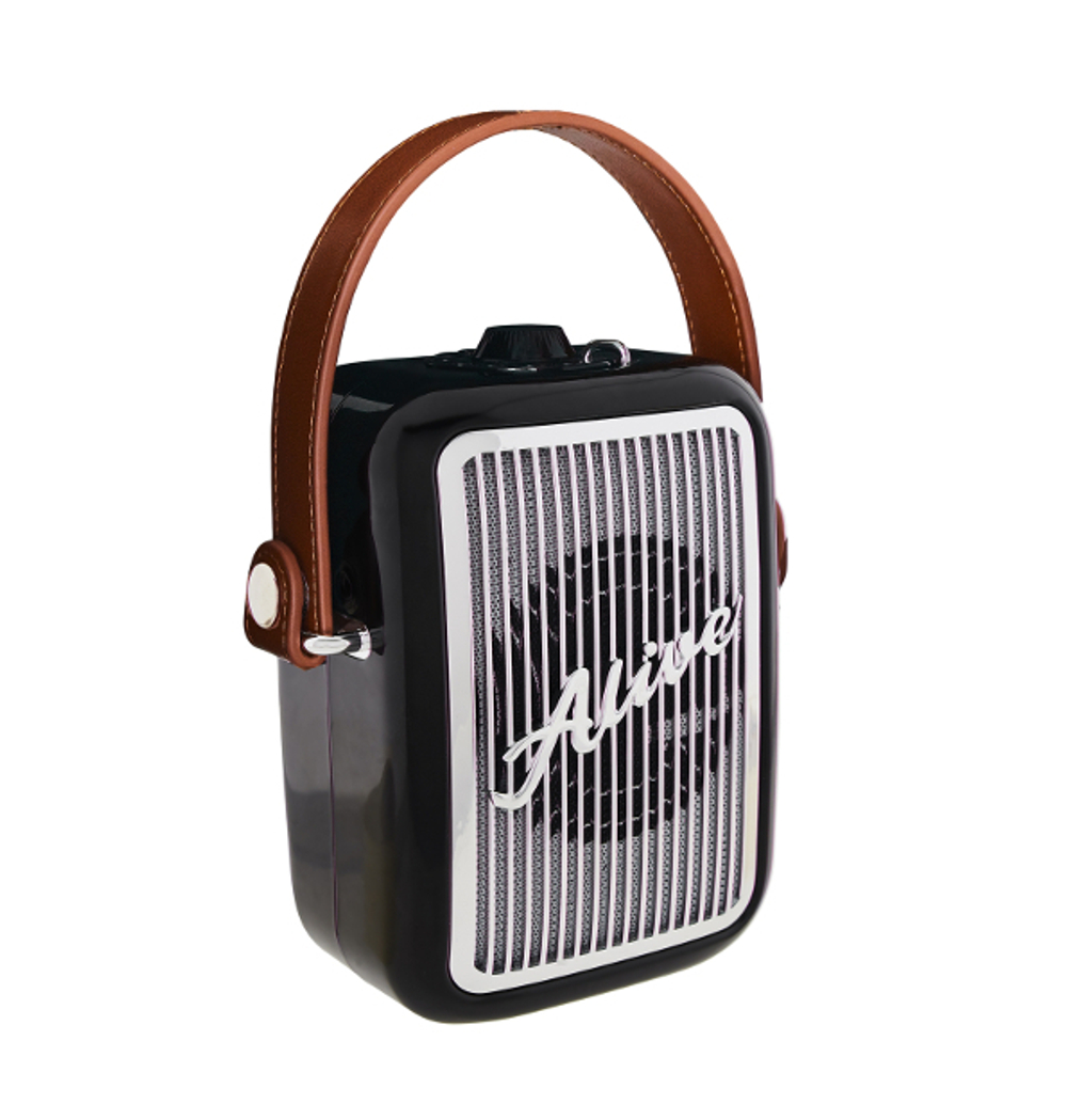Беспроводная колонка Alive Audio Journey (Black)