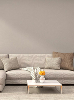 Сканди-22 (серая)