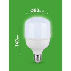 Лампа светодиодная ЭРА GREEN LINE LED POWER T80-40W-865-E27/E40 GL 40Вт колокол холодный свет Е27/Е40 | Лампы cветодиодные POWER