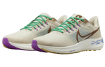 Кроссовки Nike Air Zoom Pegasus 39 'Moving Company'