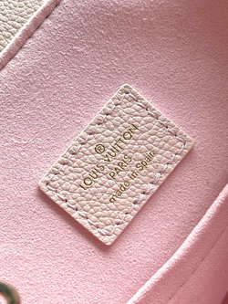 Louis Vuitton Backup